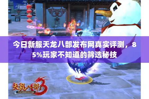今日新服天龙八部发布网真实评测，85%玩家不知道的筛选秘技
