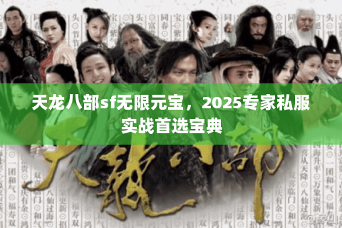 天龙八部sf无限元宝，2025专家私服实战首选宝典