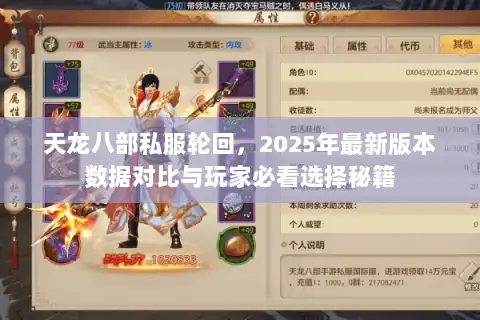 天龙八部私服轮回，2025年最新版本数据对比与玩家必看选择秘籍