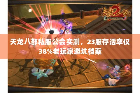 天龙八部私服公会实测，23服存活率仅38%老玩家避坑档案