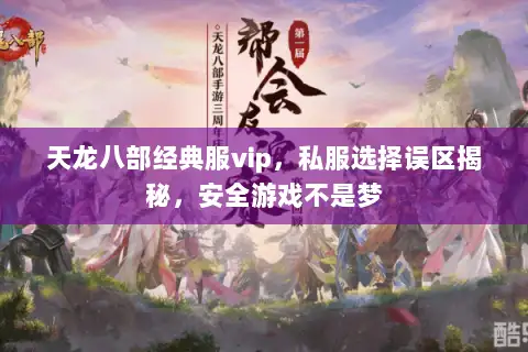 天龙八部经典服vip，私服选择误区揭秘，安全游戏不是梦