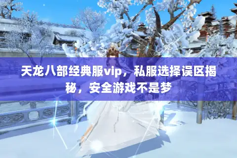 天龙八部经典服vip，私服选择误区揭秘，安全游戏不是梦