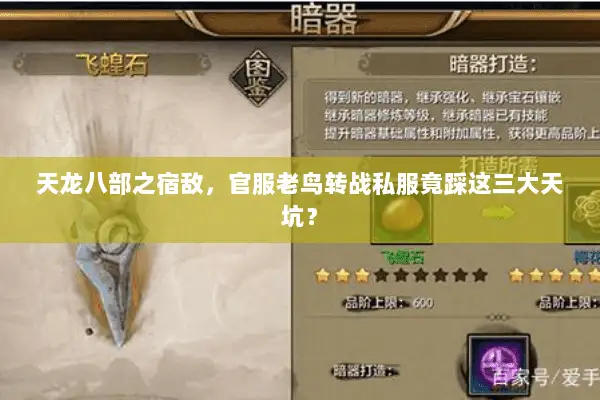 天龙八部之宿敌，官服老鸟转战私服竟踩这三大天坑？