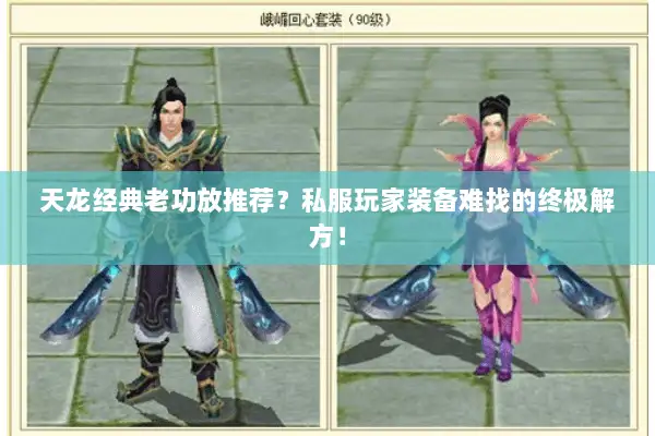 天龙经典老功放推荐?私服玩家装备难找的终极解方! 天龙经典老功放推荐?私服玩家装备难找的终极解方!