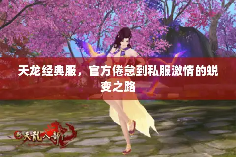 天龙经典服，官方倦怠到私服激情的蜕变之路