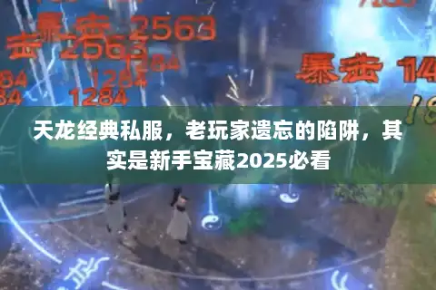 天龙经典私服，老玩家遗忘的陷阱，其实是新手宝藏2025必看