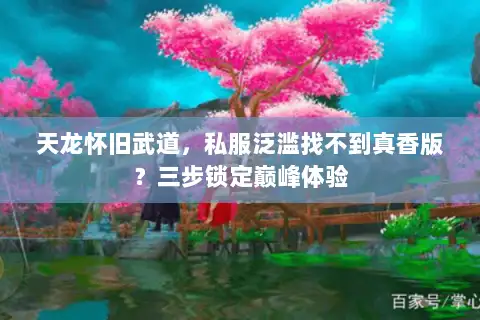 天龙怀旧武道，私服泛滥找不到真香版？三步锁定巅峰体验