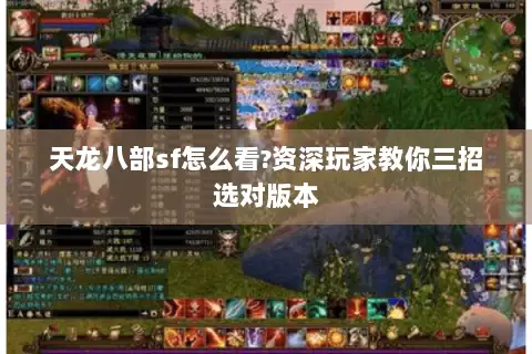 天龙八部sf怎么看?资深玩家教你三招选对版本