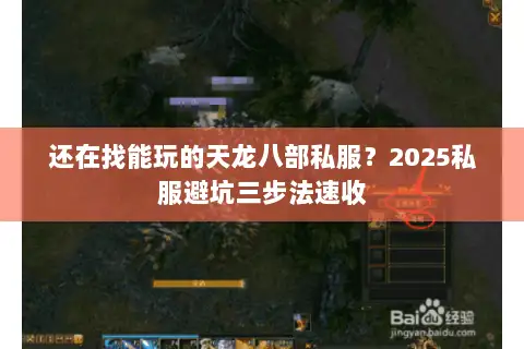 还在找能玩的天龙八部私服？2025私服避坑三步法速收