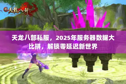 天龙八部私服，2025年服务器数据大比拼，解锁零延迟新世界