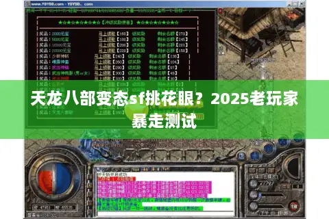 天龙八部变态sf挑花眼？2025老玩家暴走测试