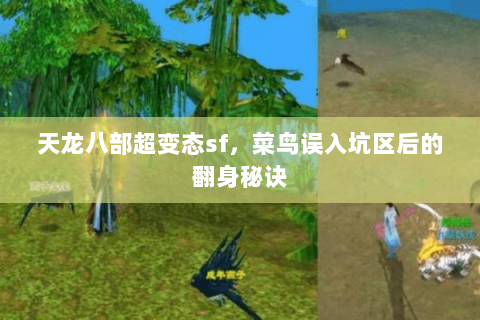 天龙八部超变态sf，菜鸟误入坑区后的翻身秘诀