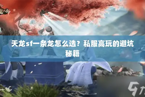 天龙sf一条龙怎么选？私服高玩的避坑秘籍