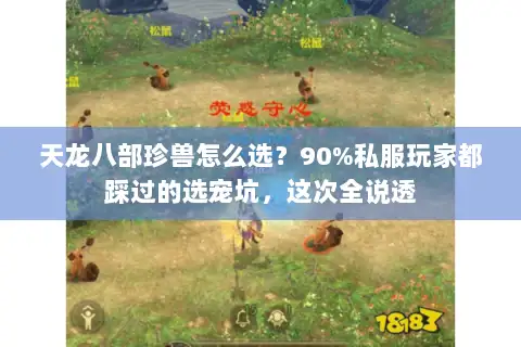 天龙八部珍兽怎么选？90%私服玩家都踩过的选宠坑，这次全说透