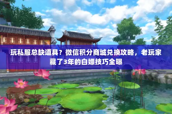 玩私服总缺道具？微信积分商城兑换攻略，老玩家藏了3年的白嫖技巧全曝
