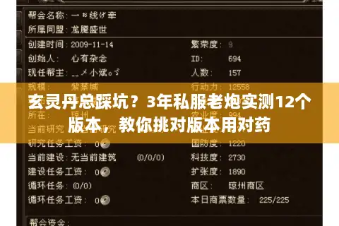 玄灵丹总踩坑？3年私服老炮实测12个版本，教你挑对版本用对药