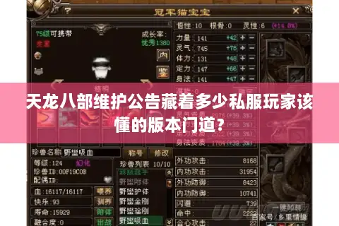 天龙八部维护公告藏着多少私服玩家该懂的版本门道？