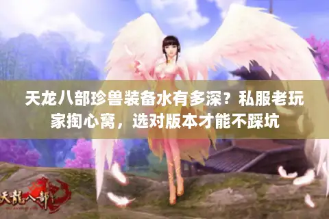 天龙八部珍兽装备水有多深？私服老玩家掏心窝，选对版本才能不踩坑