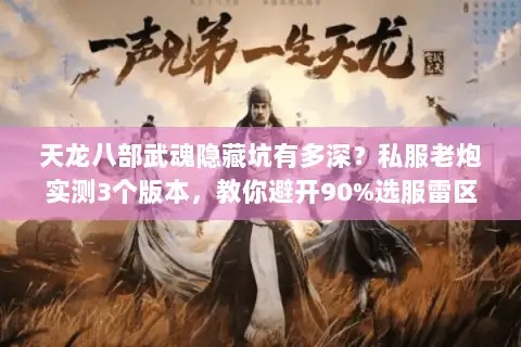 天龙八部武魂隐藏坑有多深?私服老炮实测3个版本,教你避开90%选服雷区 天龙八部武魂隐藏坑有多深?私服老炮实测3个版本,教你避开90%选服雷区