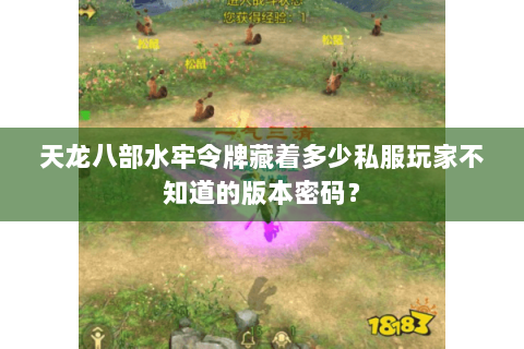天龙八部水牢令牌藏着多少私服玩家不知道的版本密码? 天龙八部水牢令牌藏着多少私服玩家不知道的版本密码?