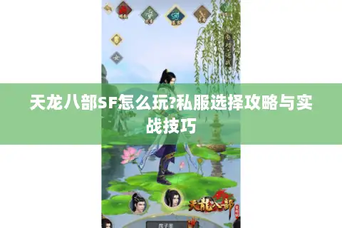 天龙八部SF怎么玩?私服选择攻略与实战技巧 天龙八部SF怎么玩?私服选择攻略与实战技巧