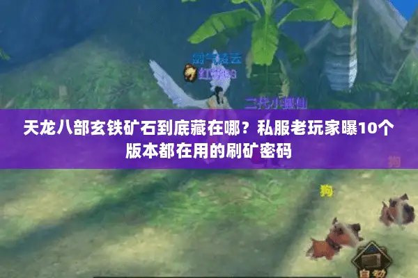 天龙八部玄铁矿石到底藏在哪?私服老玩家曝10个版本都在用的刷矿密码 天龙八部玄铁矿石到底藏在哪?私服老玩家曝10个版本都在用的刷矿密码