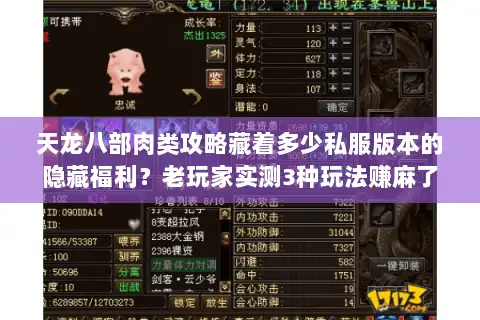 天龙八部肉类攻略藏着多少私服版本的隐藏福利？老玩家实测3种玩法赚麻了