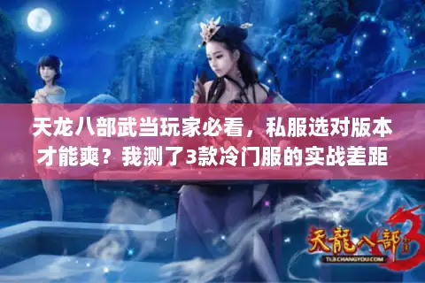 天龙八部武当玩家必看，私服选对版本才能爽？我测了3款冷门服的实战差距