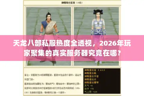 天龙八部私服热度全透视，2026年玩家聚集的真实服务器究竟在哪？
