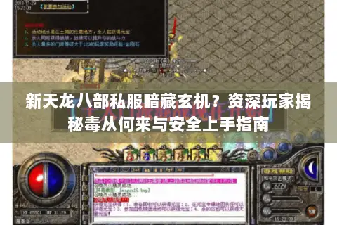 新天龙八部私服暗藏玄机？资深玩家揭秘毒从何来与安全上手指南