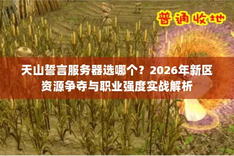 天山誓言服务器选哪个？2026年新区资源争夺与职业强度实战解析
