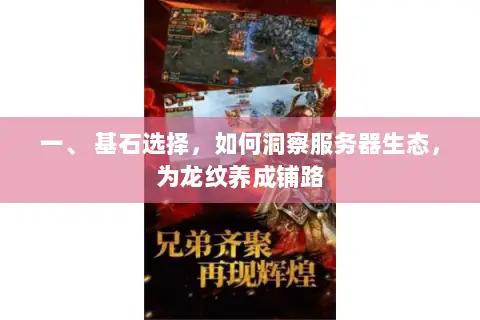 一、 基石选择，如何洞察服务器生态，为龙纹养成铺路