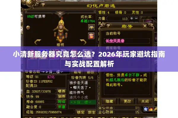 小清新服务器究竟怎么选？2026年玩家避坑指南与实战配置解析