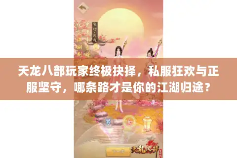 天龙八部玩家终极抉择，私服狂欢与正服坚守，哪条路才是你的江湖归途？