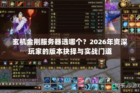 玄机金刚服务器选哪个？2026年资深玩家的版本抉择与实战门道