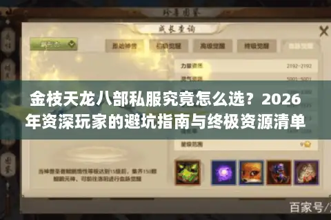 金枝天龙八部私服究竟怎么选？2026年资深玩家的避坑指南与终极资源清单