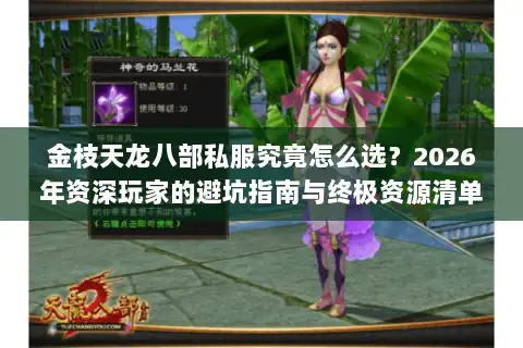 金枝天龙八部私服究竟怎么选？2026年资深玩家的避坑指南与终极资源清单
