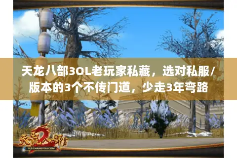 天龙八部3OL老玩家私藏，选对私服/版本的3个不传门道，少走3年弯路