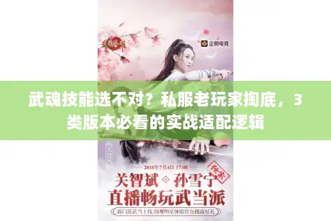 武魂技能选不对？私服老玩家掏底，3类版本必看的实战适配逻辑
