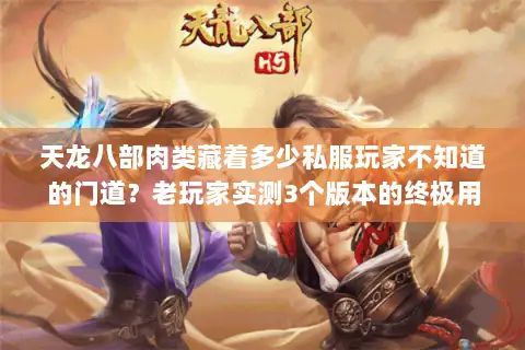 天龙八部肉类藏着多少私服玩家不知道的门道?老玩家实测3个版本的终极用法 天龙八部肉类藏着多少私服玩家不知道的门道?老玩家实测3个版本的终极用法