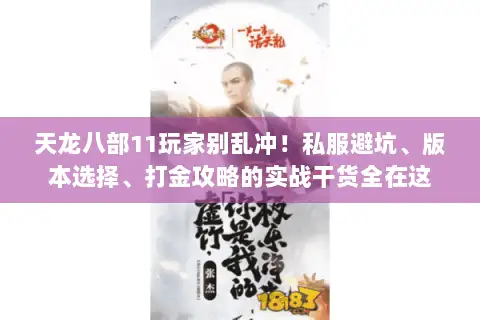 天龙八部11玩家别乱冲！私服避坑、版本选择、打金攻略的实战干货全在这