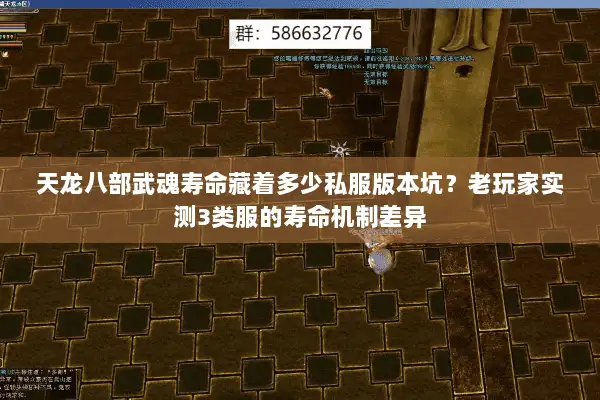 天龙八部武魂寿命藏着多少私服版本坑？老玩家实测3类服的寿命机制差异