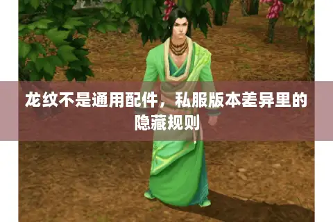 龙纹不是通用配件，私服版本差异里的隐藏规则