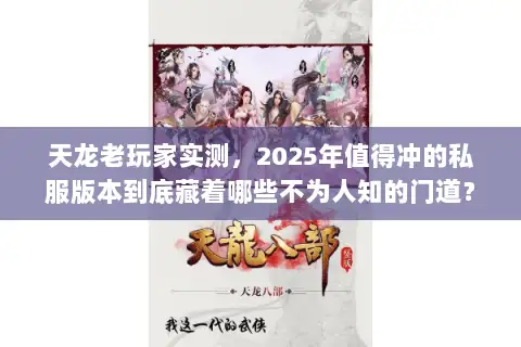 天龙老玩家实测，2025年值得冲的私服版本到底藏着哪些不为人知的门道？