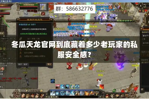 冬瓜天龙官网到底藏着多少老玩家的私服安全感？