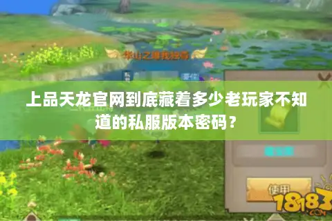 上品天龙官网到底藏着多少老玩家不知道的私服版本密码？