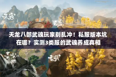 天龙八部武魂玩家别乱冲！私服版本坑在哪？实测3类服的武魂养成真相