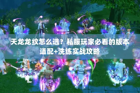 天龙龙纹怎么选?私服玩家必看的版本适配+洗练实战攻略 天龙龙纹怎么选?私服玩家必看的版本适配+洗练实战攻略