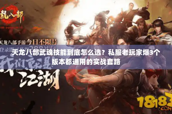 天龙八部武魂技能到底怎么选？私服老玩家爆3个版本都通用的实战套路