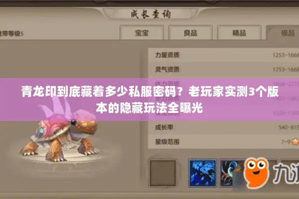 青龙印到底藏着多少私服密码?老玩家实测3个版本的隐藏玩法全曝光 青龙印到底藏着多少私服密码?老玩家实测3个版本的隐藏玩法全曝光